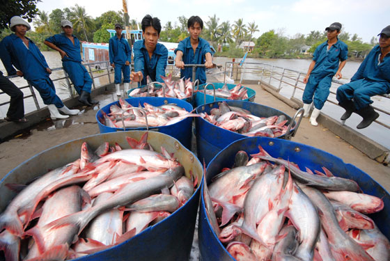 Dynamiser les exportations vietnamiennes vers le Mexique